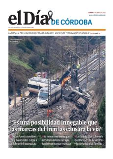 “ES UNA POSIBILIDAD INNEGABLE QUE LAS MARCAS DEL TREN LAS CAUSARA LA VÍA”
